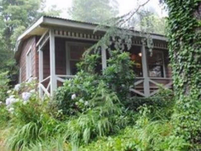 Bygone Beautys Cottages Leura Exterior photo